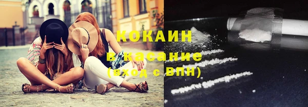 дживик Надым