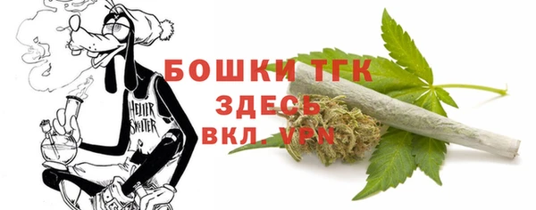 дживик Надым