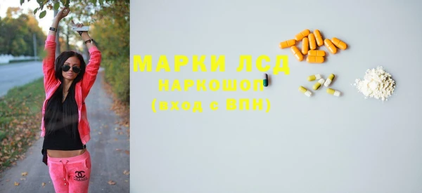 дживик Надым