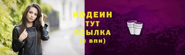 дживик Надым