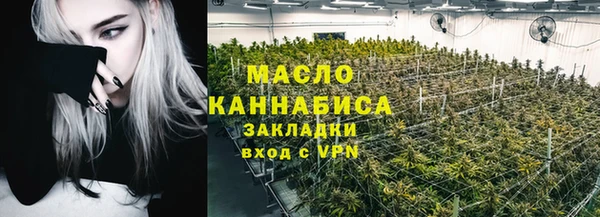 дживик Надым