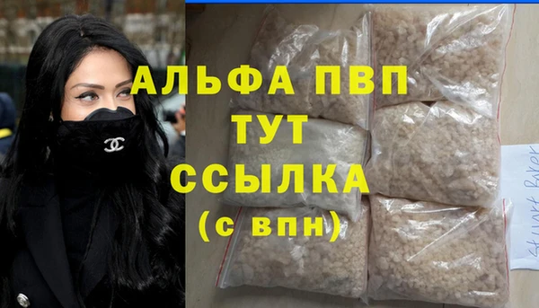 дживик Надым