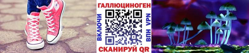 Псилоцибиновые грибы мицелий  MEGA маркетплейс  Аткарск 